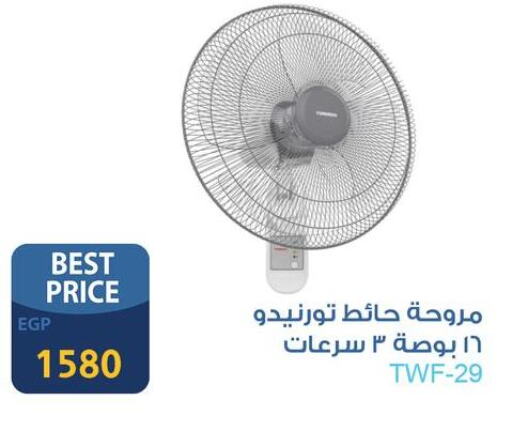 Small Appliances in Fathalla Market , Egypt Offers - Egypt TORNADO Fan available at Fathalla Market in Egypt - Cairo