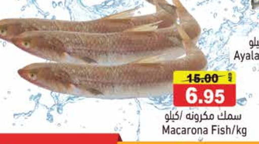 available at أسواق رامز in الإمارات العربية المتحدة , الامارات - الشارقة / عجمان