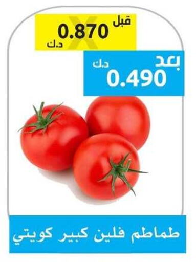 Tomato available at Ministry Of Defense Consumer Association Co-operative Society in Kuwait - Kuwait City