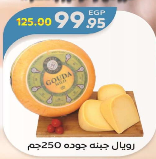 Gouda available at Zaher Dairy in Egypt - Cairo