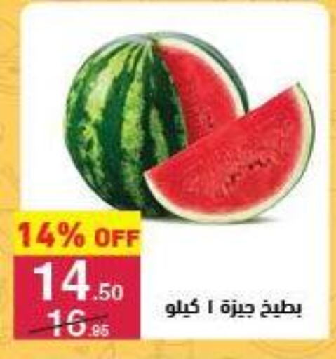 فاكهة طازجة in محمود الفار, Egypt Offers - Egypt بطيخ available at محمود الفار in Egypt - القاهرة