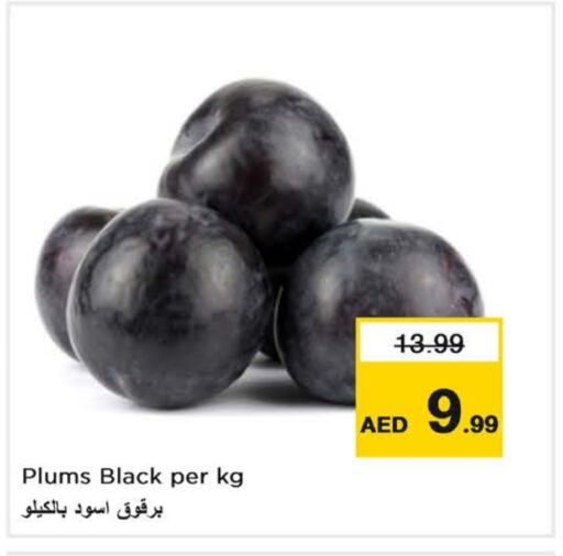 برقوق available at نستو هايبرماركت in الإمارات العربية المتحدة , الامارات - ٱلْفُجَيْرَة‎