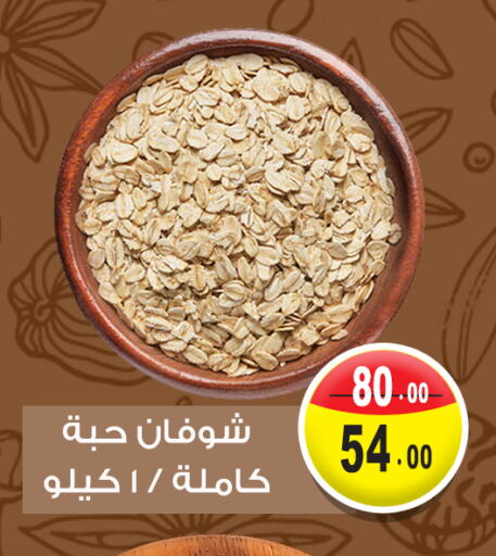 Oats available at Ghoneim Market   in Egypt - Cairo