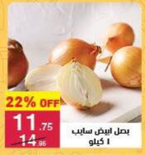 الخضروات الطازجة in محمود الفار, Egypt Offers - Egypt بصل available at محمود الفار in Egypt - القاهرة