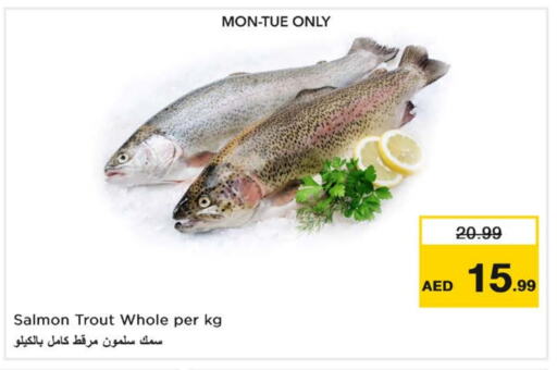الأسماك الطازجة in نستو هايبرماركت, UAE Offers - الإمارات العربية المتحدة available at نستو هايبرماركت in الإمارات العربية المتحدة , الامارات - الشارقة / عجمان