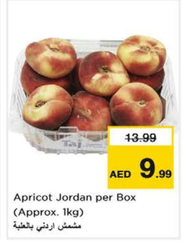 Apricot available at Nesto Hypermarket in UAE - Al Ain