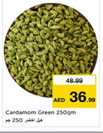Salts, Spices & Paste in Nesto Hypermarket, UAE Offers - United Arab Emirates Dried Herbs available at Nesto Hypermarket in UAE - Sharjah / Ajman