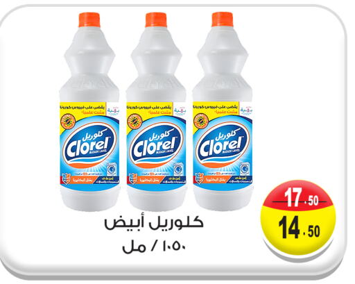 Bleach available at Ghoneim Market   in Egypt - Cairo