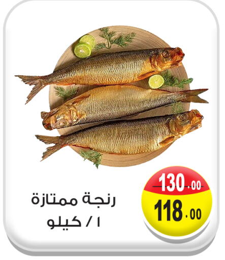 available at غنيم ماركت in Egypt - القاهرة