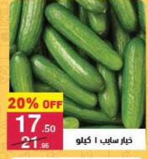 الخضروات الطازجة in محمود الفار, Egypt Offers - Egypt خيار available at محمود الفار in Egypt - القاهرة