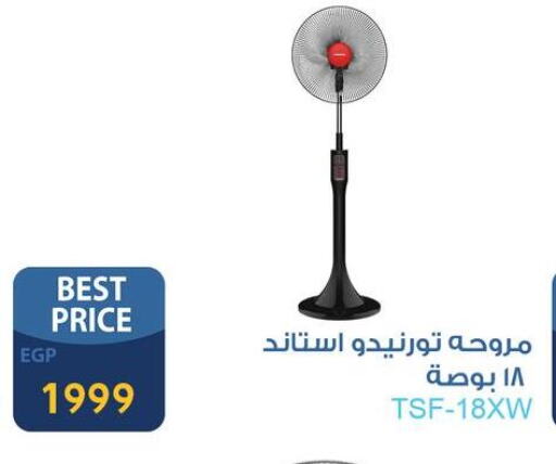 Small Appliances in Fathalla Market , Egypt Offers - Egypt TORNADO Fan available at Fathalla Market in Egypt - Cairo