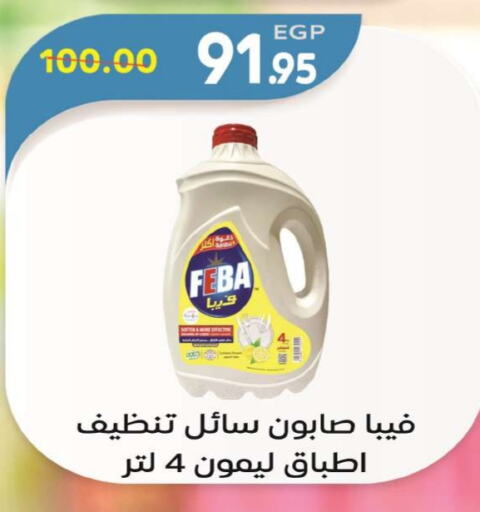 available at Zaher Dairy in Egypt - Cairo