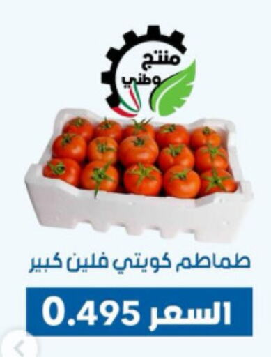 Tomato available at Dahiyat Abdullah Al Salem and Mansourieh Cooperative Society in Kuwait - Kuwait City