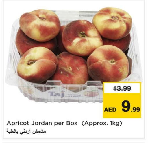 Dried Fruits & Dates in Nesto Hypermarket, UAE Offers - United Arab Emirates Apricot available at Nesto Hypermarket in UAE - Fujairah