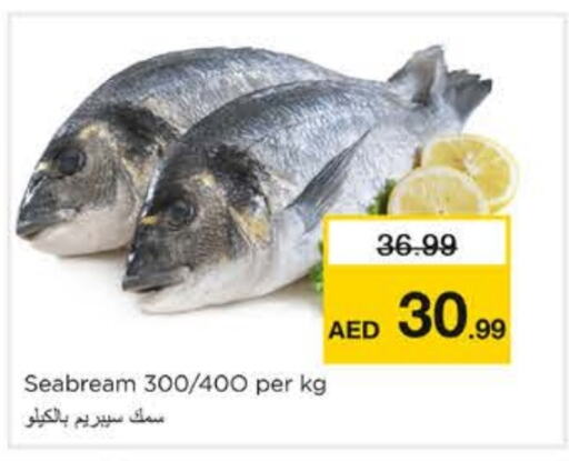 Fresh Fish in Nesto Hypermarket, UAE Offers - United Arab Emirates available at Nesto Hypermarket in UAE - Sharjah / Ajman