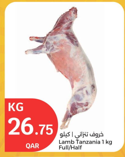 Meat - Fresh & Chilled in City Hypermarket, Qatar Offers - Qatar Mutton / Lamb available at City Hypermarket in Qatar - Al Wakra