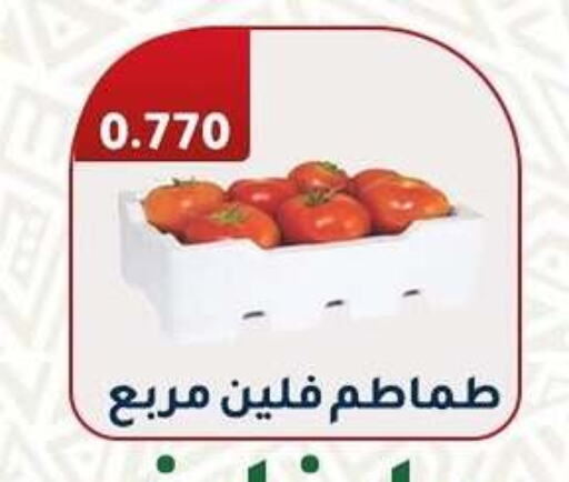 Tomato available at Al Fahaheel Co - Op Society in Kuwait - Kuwait City