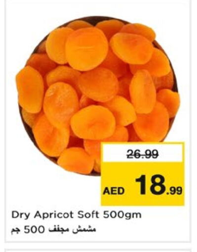 الفواكه المجففة و التمور in نستو هايبرماركت, UAE Offers - الإمارات العربية المتحدة Apricot available at نستو هايبرماركت in الإمارات العربية المتحدة , الامارات - دبي