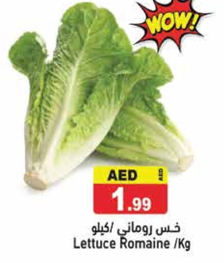Fresh Vegetables in Aswaq Ramez, UAE Offers - United Arab Emirates Lettuce available at Aswaq Ramez in UAE - Sharjah / Ajman