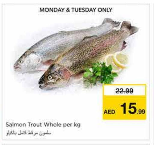 الأسماك الطازجة in نستو هايبرماركت, UAE Offers - الإمارات العربية المتحدة available at نستو هايبرماركت in الإمارات العربية المتحدة , الامارات - الشارقة / عجمان