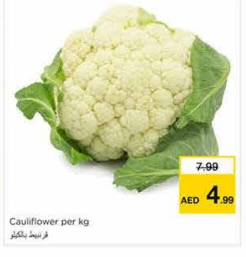 Cauliflower available at Nesto Hypermarket in UAE - Sharjah / Ajman