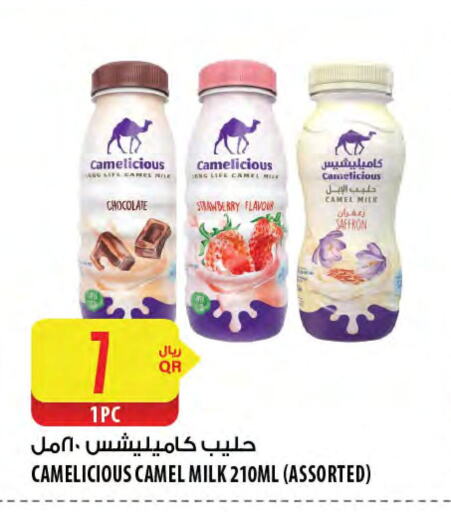 Long Life / UHT Milk available at Al Meera in Qatar - Doha