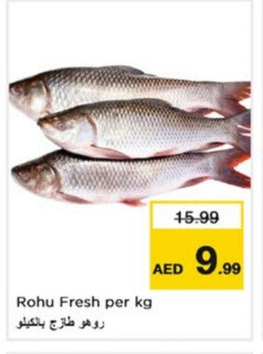 Fresh Fish in Nesto Hypermarket, UAE Offers - United Arab Emirates available at Nesto Hypermarket in UAE - Sharjah / Ajman