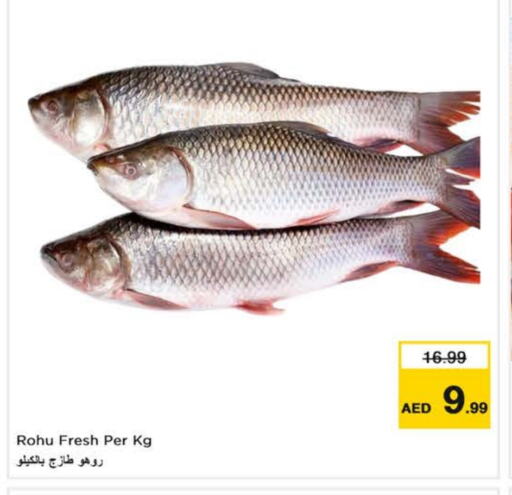 Fresh Fish in Nesto Hypermarket, UAE Offers - United Arab Emirates available at Nesto Hypermarket in UAE - Fujairah
