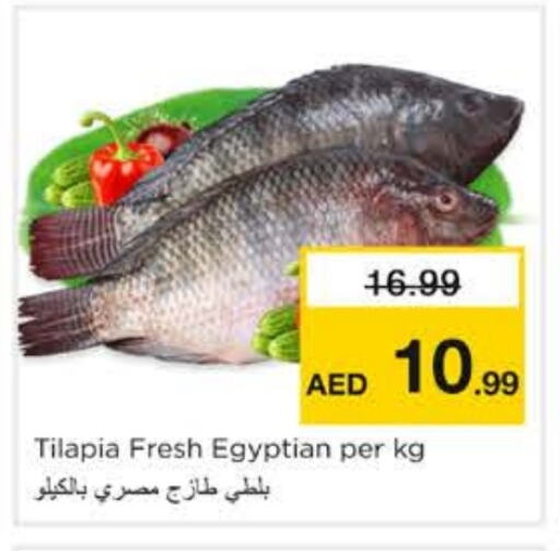 Fresh Fish in Nesto Hypermarket, UAE Offers - United Arab Emirates available at Nesto Hypermarket in UAE - Sharjah / Ajman
