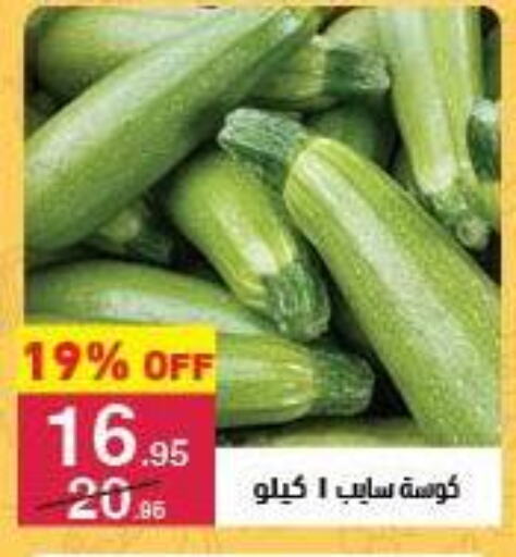 الخضروات الطازجة in محمود الفار, Egypt Offers - Egypt كوسا available at محمود الفار in Egypt - القاهرة
