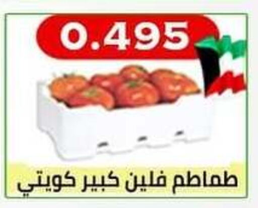 Tomato available at  Al Ardhiya coop  in Kuwait - Kuwait City