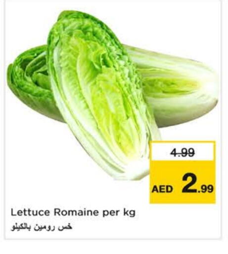Lettuce available at Nesto Hypermarket in UAE - Dubai