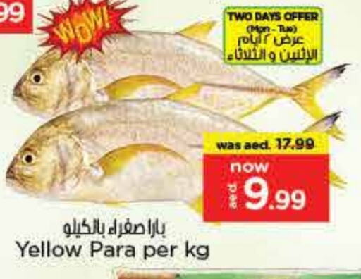 الأسماك الطازجة in نستو هايبرماركت, UAE Offers - الإمارات العربية المتحدة available at نستو هايبرماركت in الإمارات العربية المتحدة , الامارات - الشارقة / عجمان