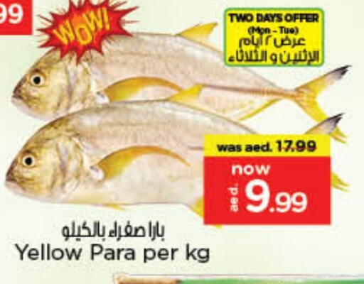 الأسماك الطازجة in نستو هايبرماركت, UAE Offers - الإمارات العربية المتحدة available at نستو هايبرماركت in الإمارات العربية المتحدة , الامارات - الشارقة / عجمان