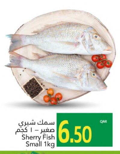 available at Gulf Food Center in Qatar - Doha