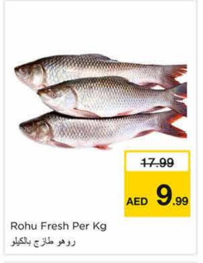الأسماك الطازجة in نستو هايبرماركت, UAE Offers - الإمارات العربية المتحدة available at نستو هايبرماركت in الإمارات العربية المتحدة , الامارات - الشارقة / عجمان