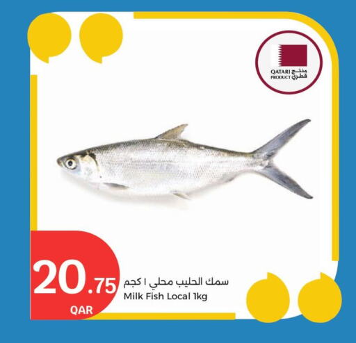 available at City Hypermarket in Qatar - Doha