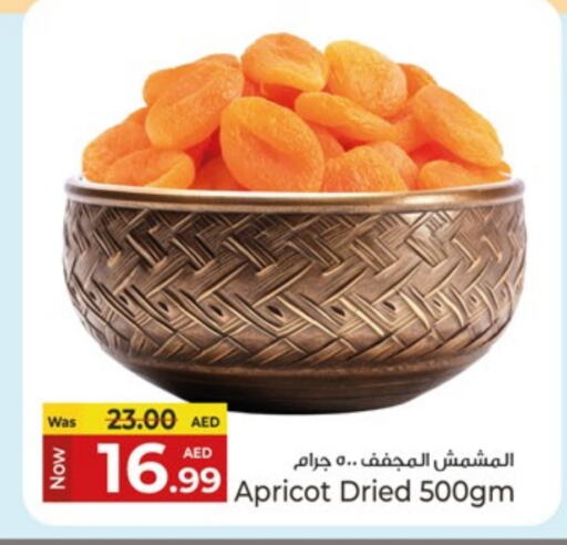 الفواكه المجففة و التمور in كنز هايبرماركت, UAE Offers - الإمارات العربية المتحدة Apricot available at كنز هايبرماركت in الإمارات العربية المتحدة , الامارات - الشارقة / عجمان
