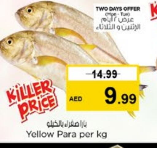 الأسماك الطازجة in نستو هايبرماركت, UAE Offers - الإمارات العربية المتحدة available at نستو هايبرماركت in الإمارات العربية المتحدة , الامارات - الشارقة / عجمان