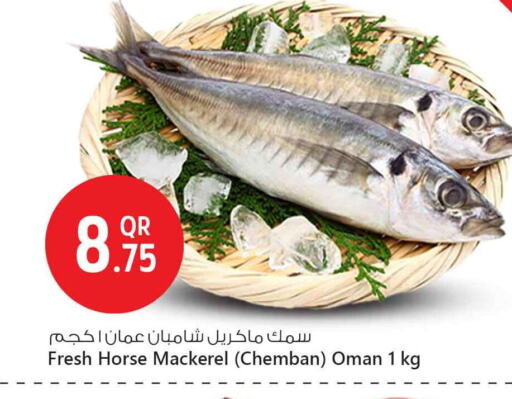 available at Safari Hypermarket in Qatar - Al Daayen