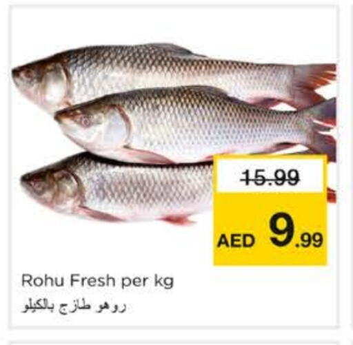 Fresh Fish in Nesto Hypermarket, UAE Offers - United Arab Emirates available at Nesto Hypermarket in UAE - Sharjah / Ajman