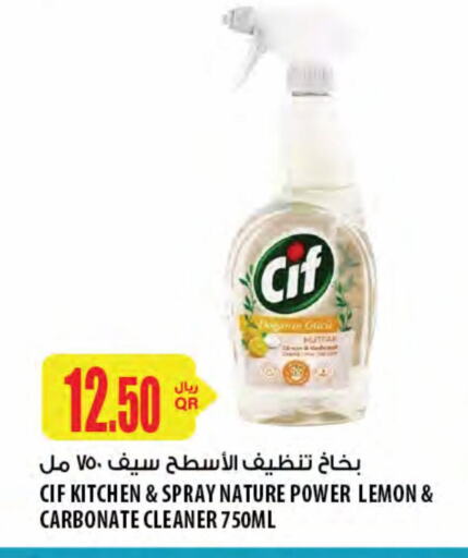 General Cleaner available at Al Meera in Qatar - Al Khor