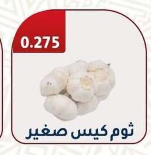Fresh Vegetables in Al Fahaheel Co - Op Society, Kuwait Offers - Kuwait Garlic available at Al Fahaheel Co - Op Society in Kuwait - Ahmadi Governorate