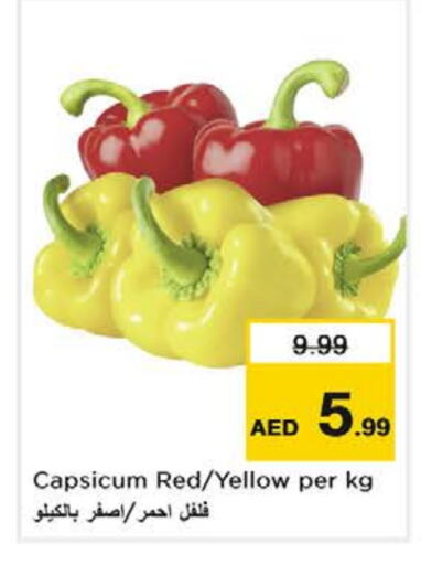 Chilli / Capsicum available at Nesto Hypermarket in UAE - Al Ain
