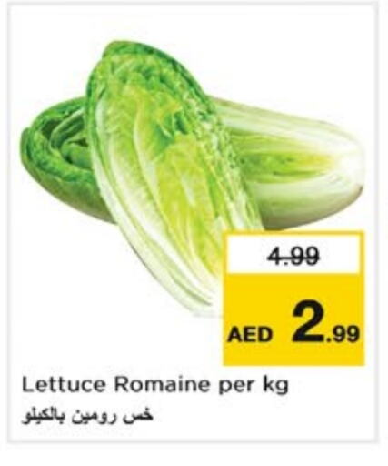 الخضروات الطازجة in نستو هايبرماركت, UAE Offers - الإمارات العربية المتحدة Lettuce available at نستو هايبرماركت in الإمارات العربية المتحدة , الامارات - الشارقة / عجمان