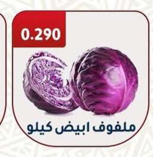 Fresh Vegetables in Al Fahaheel Co - Op Society, Kuwait Offers - Kuwait Cabbage available at Al Fahaheel Co - Op Society in Kuwait - Ahmadi Governorate
