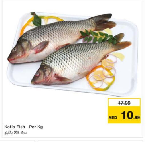 Fresh Fish in Nesto Hypermarket, UAE Offers - United Arab Emirates available at Nesto Hypermarket in UAE - Fujairah