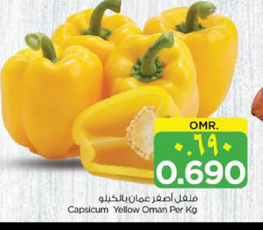 Fresh Vegetables in Nesto Hyper Market , Oman Offers - Oman Chilli / Capsicum from Oman available at Nesto Hyper Market in Oman - Salalah