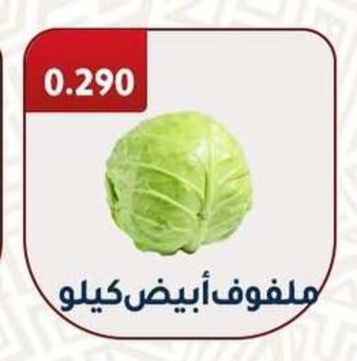 Fresh Vegetables in Al Fahaheel Co - Op Society, Kuwait Offers - Kuwait Cabbage available at Al Fahaheel Co - Op Society in Kuwait - Ahmadi Governorate