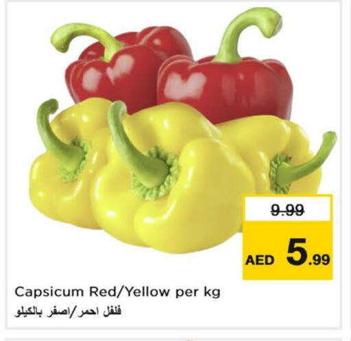 Fresh Vegetables in Nesto Hypermarket, UAE Offers - United Arab Emirates Chilli / Capsicum available at Nesto Hypermarket in UAE - Fujairah